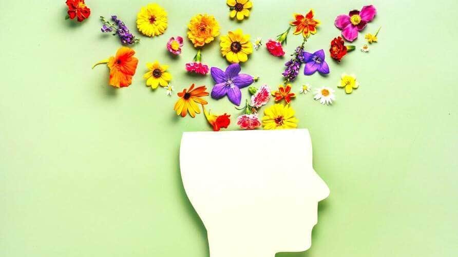 Câmara Setorial Temática avalia índice de condição e qualidade de Vida em Mato Grosso