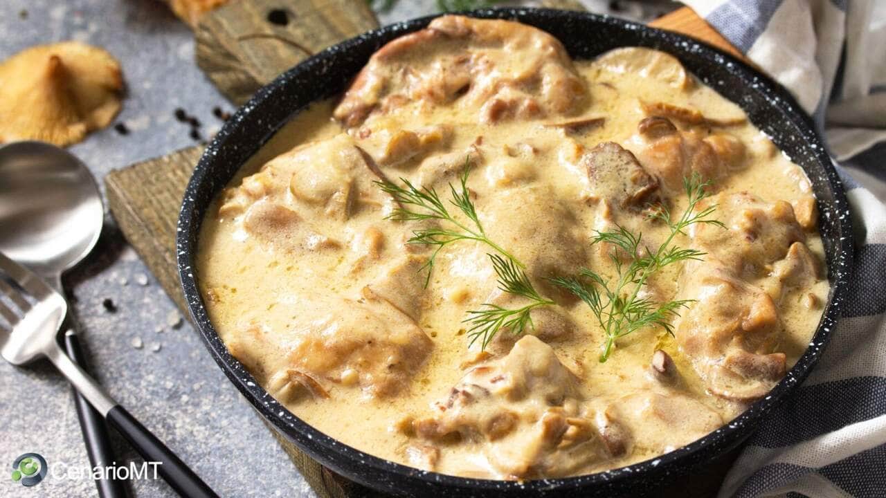 Como fazer fricassé