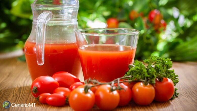 Como fazer suco de tomate