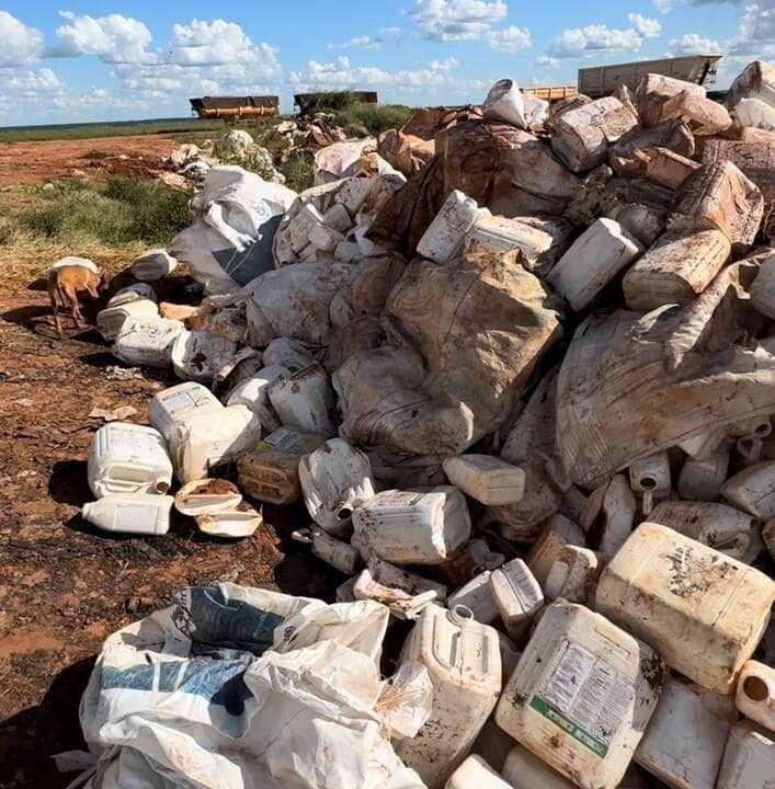 Gerente de fazenda em Bom Jesus do Araguaia é preso por crime ambiental