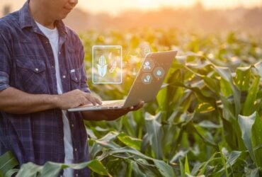 Inteligencia artificial agroindustria