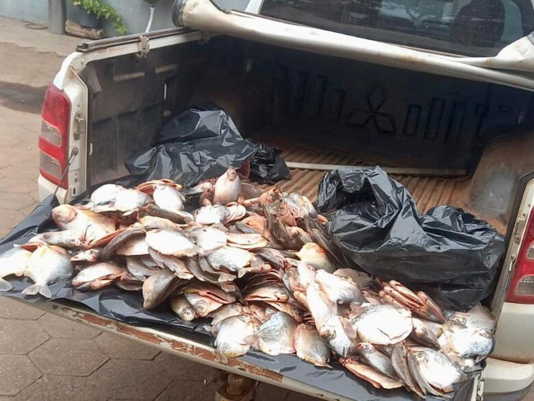 Polícia Ambiental apreende 45,5 kg de pescado ilegal em Santo Antônio de Leverger