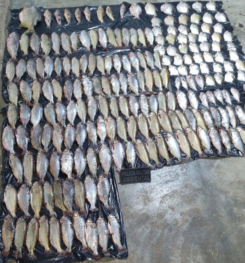 Pesca predatória em Poconé: Homem é preso com 213 unidades de pescado ilegal
