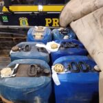 Combustível ilegal é apreendido em Pontes e Lacerda: PRF frustra venda em garimpo