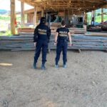 Polícia Federal realiza Operação Ankara contra extração clandestina de madeira em Terra Indígena Aripuanã