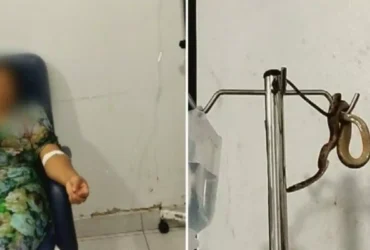 Pânico na sala de soro: Cobra acrobata assusta paciente em Goiás!