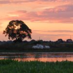 Mato Grosso libera pecuária em área de preservação do Pantanal, gerando polêmica