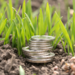 Fundos privados de investimento no agro crescem até 174% em abril - Mapa