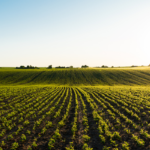 Mapa institui Câmara Temática de Gestão de Risco Agropecuário para enfrentar desafios ambientais e climáticos no setor