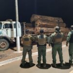 Polícia Civil apreende caminhão com madeira ilegal e indicia três por crime contra o meio ambiente_664f770736e01.jpeg