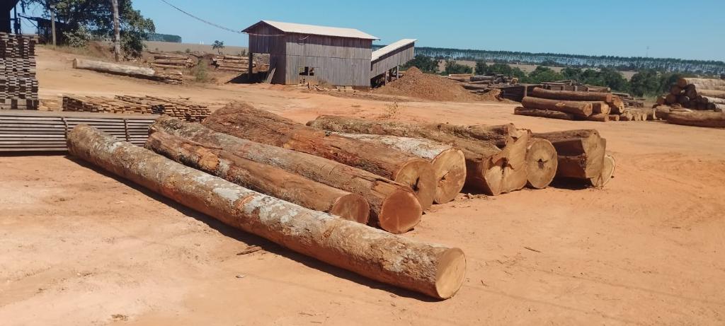policia civil apreende caminhao com madeira ilegal e indicia tres por crime contra o meio ambiente interna 1 2024 05 23 780043325