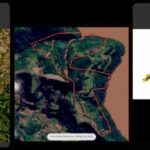 Polícia Federal libera imagens de satélite para uso de prefeituras gaúchas - PF