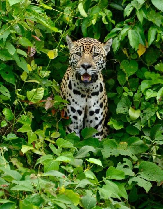 whatsapp-image-2024-05-29-at-13.50.24