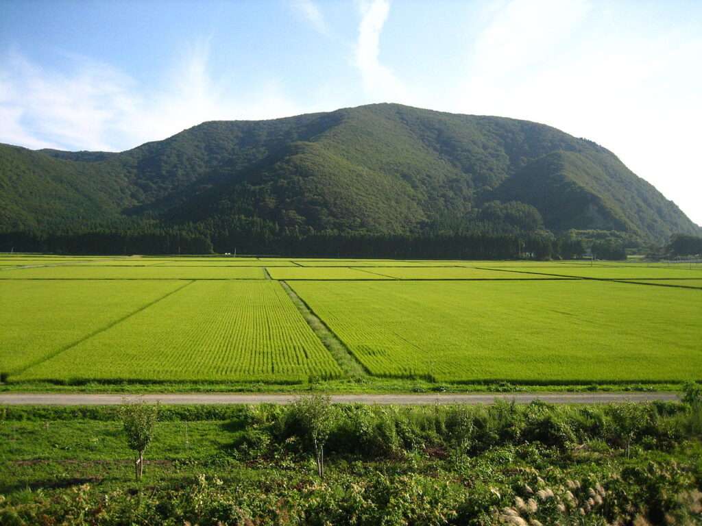 Agro do Futuro: Satélites japoneses revolucionam o setor