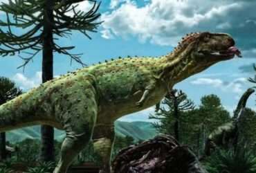 Desenterrando o reinado do Pycnonemosaurus, o predador gigante de Mato Grosso