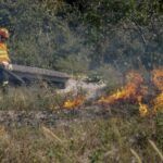 Bombeiros realizam queima prescrita para preservação do Cerrado em Chapada dos Guimarães