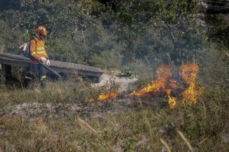 Bombeiros realizam queima prescrita para preservação do Cerrado em Chapada dos Guimarães