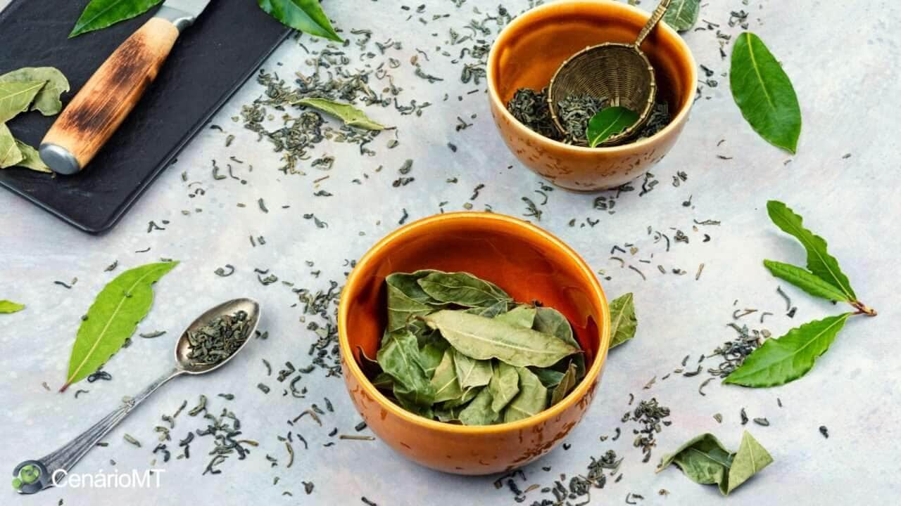 Chá de folha de louro
