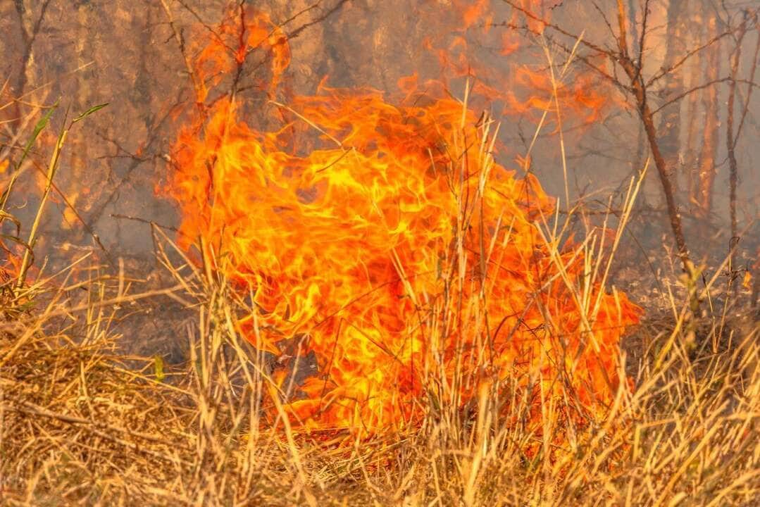 Emergências climáticas - Fotos do Canva