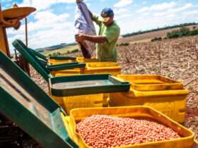 Mato Grosso lidera adoção de bioinsumos