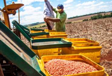 Mato Grosso lidera adoção de bioinsumos