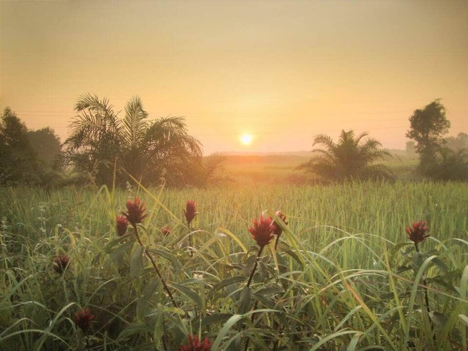 Mensagem de Bom dia - Fotos do Canva