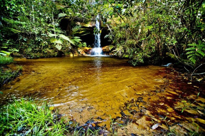 Pesquisadores da UFMT desenvolvem ferramenta inovadora para monitoramento de nascentes do Cerrado