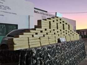 Força-tarefa apreende 102 tabletes de entorpecentes e tira R$ 1,9 milhão do crime organizado em Porto Esperidião