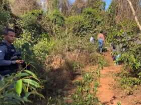Corpo de mulher é encontrado decapitado em São José do Rio Claro (MT)