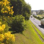 ANTT: no feriado, acidentes fatais caem 28% em rodovias sob concessão - ANTT/divulgação