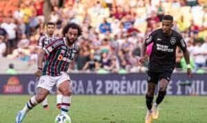 Fluminense, Botafogo, brasileiro Por: Marcelo Goncalves/Fluminense F. C. /Direitos Reservados