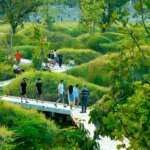 China. Projeto de cidade-esponja do paisagista e arquiteto chinês Kongjian Yu. Jinhua Harbin Qunli Stormwater Park. Foto Divulgação escritório Turenscape Por: Foto Divulgação escritório Turenscape