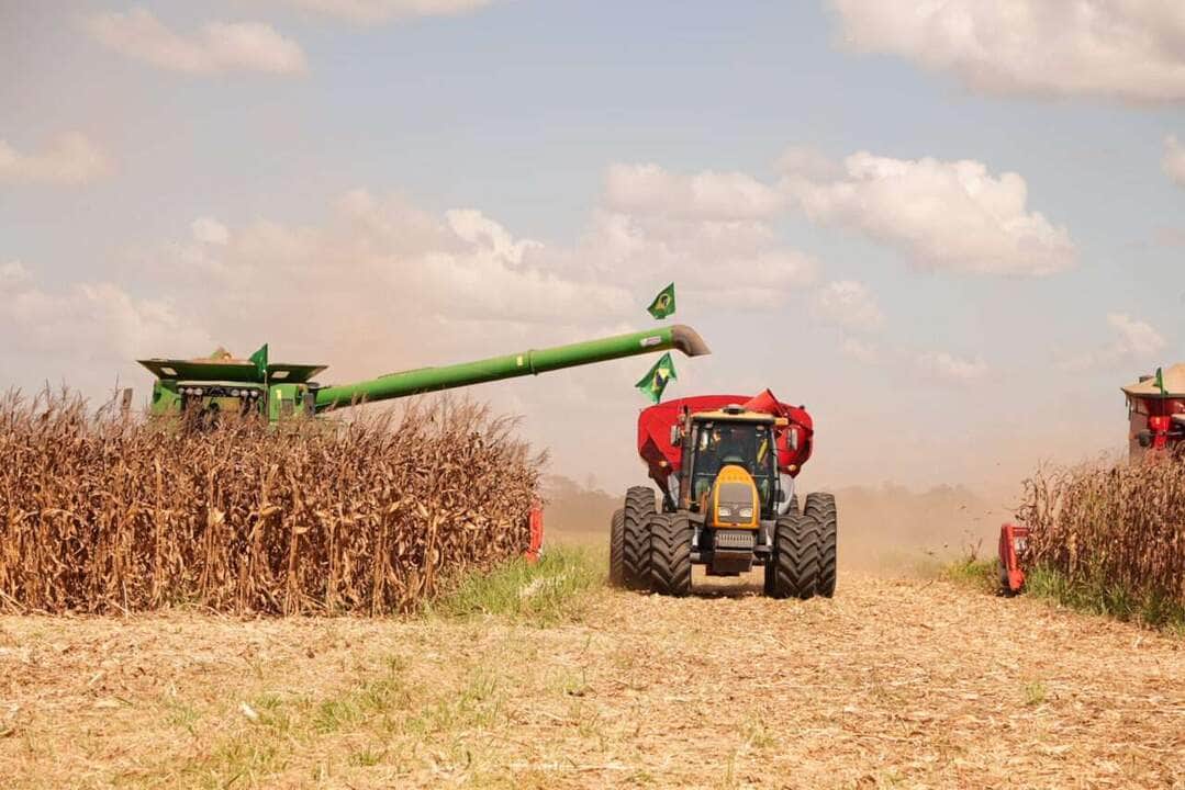 Comercialização alcançou 69,70% da produção estimada para o Estado em agosto