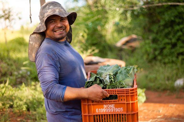 Consea comemora avanços no Plano Nacional de Abastecimento Alimentar -