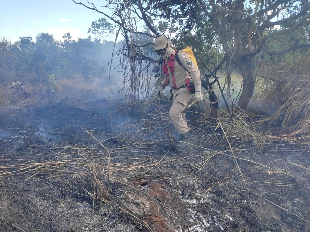 corpo de bombeiros militar combate duas ocorrencias de incendio em vegetacao em campo verde interna 1 2024 06 08 1791003667