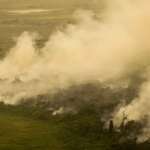 Porto Jofre (MT) 17/11/2023 – Incêndio florestal que atige o Pantanal. Foto: Joédson Alves/Agência Brasil Por: Joédson Alves/Agência Brasil/ARQUIVO
