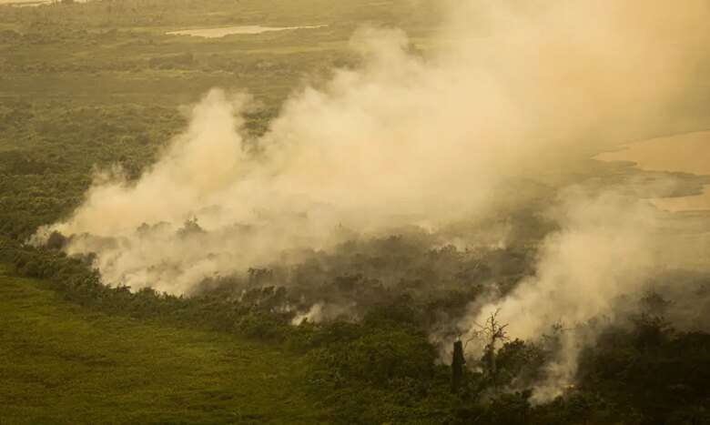 Porto Jofre (MT) 17/11/2023 – Incêndio florestal que atige o Pantanal. Foto: Joédson Alves/Agência Brasil Por: Joédson Alves/Agência Brasil/ARQUIVO