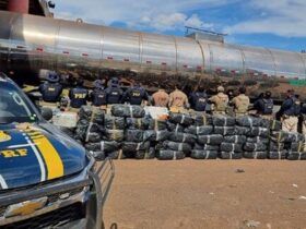 878 quilos de drogas apreendidos em Nova Mutum: Motorista preso em flagrante