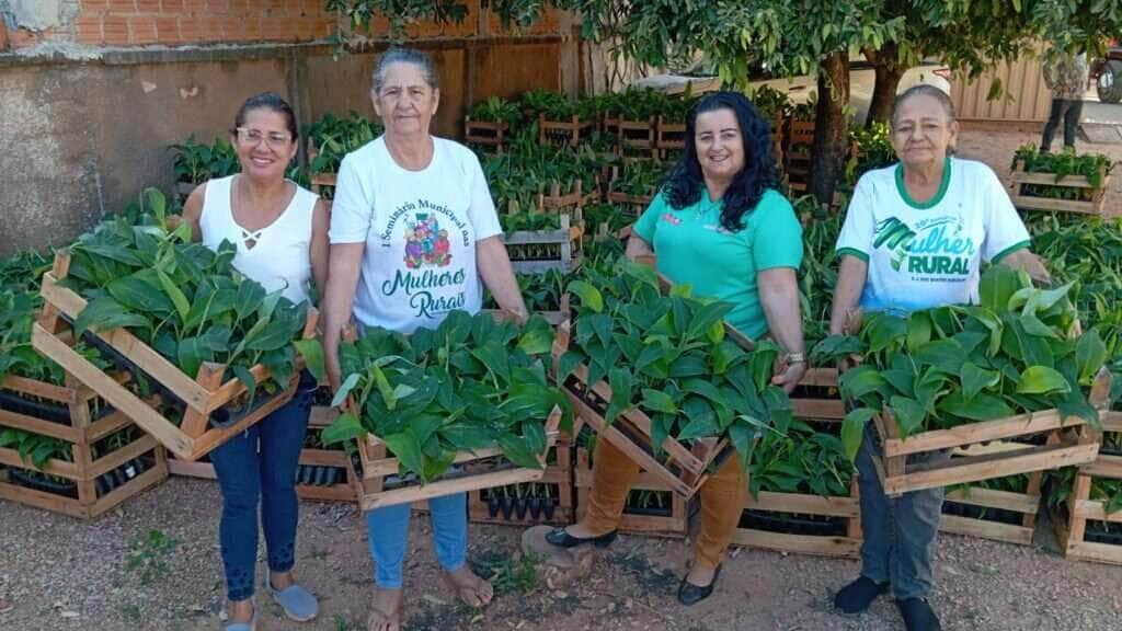 Mulheres receberam mudas da Seaf e contam com apoio técnico da Empaer no cultivo - Foto por: Arquivo pessoal