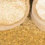 Governo Federal compra mais de 260 mil toneladas de arroz para estoques públicos