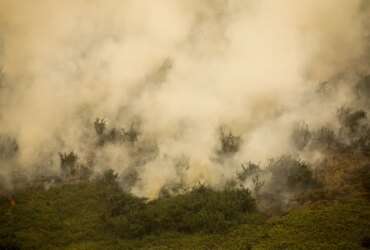 Porto Jofre (MT) 17/11/2023 – Incêndio florestal que atige o Pantanal. Foto: Joédson Alves/Agência Brasil