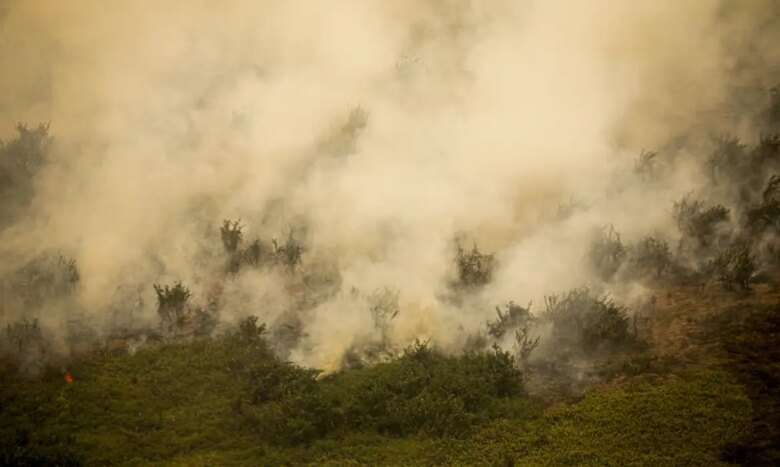 Mato Grosso mobiliza força-tarefa para combater incêndios florestais em diversas regiões