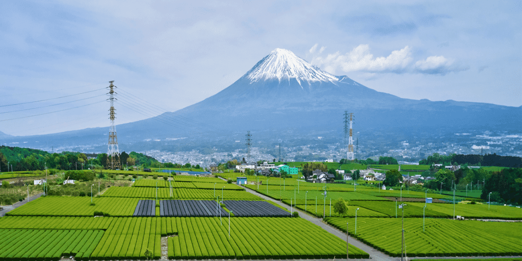 Agro do Futuro: Satélites japoneses revolucionam o setor