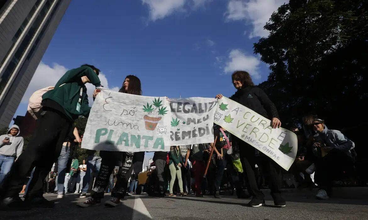 São Paulo (SP), 17/06/2023 - 15ª edição da Marcha da Maconha São Paulo na Avenida Paulista - Tema “Antiproibicionismo por uma questão de classe – Reparação por necessidade”. Foto Paulo Pinto/Agência Brasil