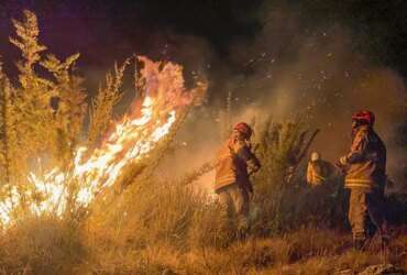 Mato Grosso sofre com a pior seca em décadas e incêndios se alastram pelo estado