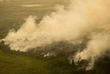 ‘Queima controlada’ para pasto ou cultivos no Pantanal será tratada como crime - Foto: Joédson Alves/ Agência Brasil