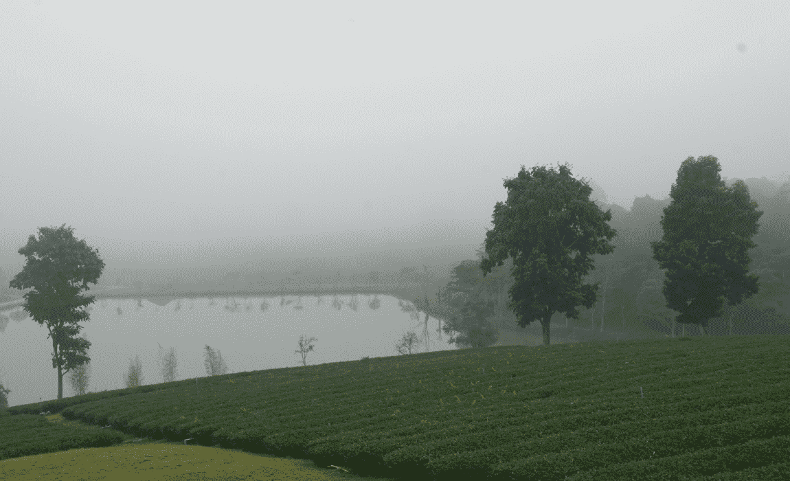 Região Sul terá onda frio e fortes geadas nos próximos dias