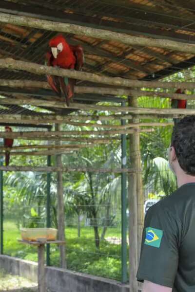 Ibama apura maus-tratos em centro de triagem de animais silvestres Por: Divulgação/Ibama