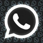 WhatsApp melhora muito a forma de adicionar contatos: Você não vai precisar do número de telefone!