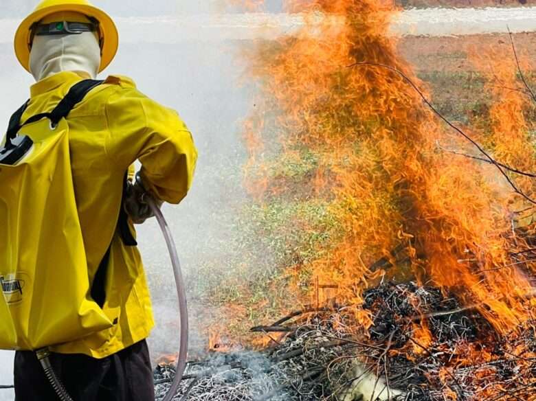 Mato Grosso abre 150 vagas para combater incêndios